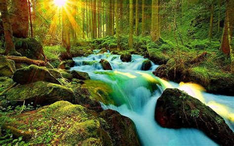 Download Sun Sunshine Waterfall Green Forest Nature Stream Wallpaper