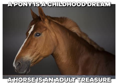 Horse Meme 2023