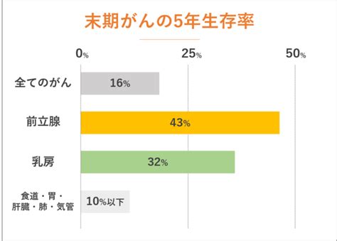 末期がんで余命宣告されてから治る事例も多数。余命は創りだすもの。