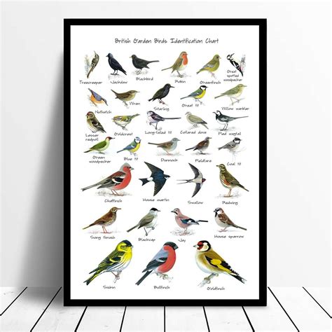 British Garden Birds Identification Chart Wildlife Poster A5 Etsy Uk