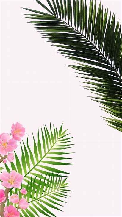 Tropical Pastel Iphone Palm Wallpapers Aesthetic Tree
