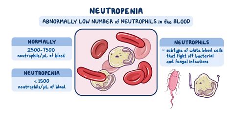 Neutropenia Nursing Osmosis Video Library