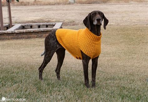 This crochet pattern is worked in fingering weight yarn but is still a very warm baby sweater thanks to the density of the beautiful wave stitch. Large Dog Sweater CROCHET PATTERN | Etsy in 2020 | Dog ...