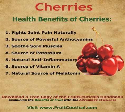 Health Benefits Of Cherries Health Benefits Of Cherries Fruit