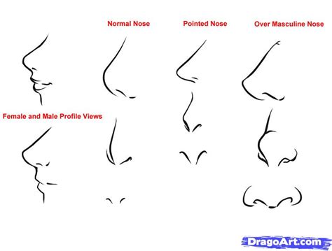 How To Draw Anime Noses Step By Step Anime People Anime