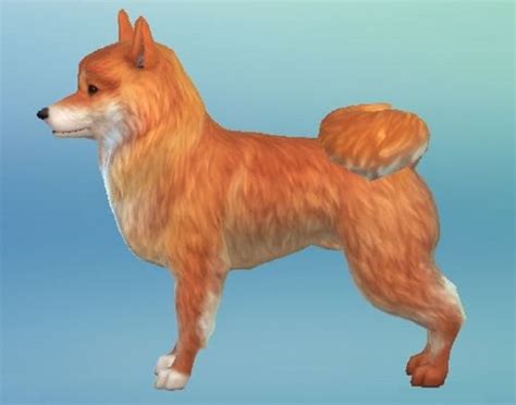 Sims 4 Pets Downloads Sims 4 Updates