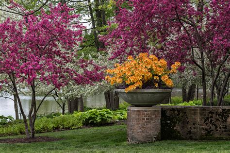Anne Belmont Photography Spring Landscapes Of The