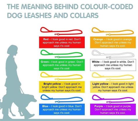 The Meaning Behind Colour Coded Dog Leashes And Collars Coolguides
