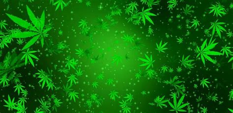 Free Download Live Weed Wallpapers That Move 511x250 For Your Desktop