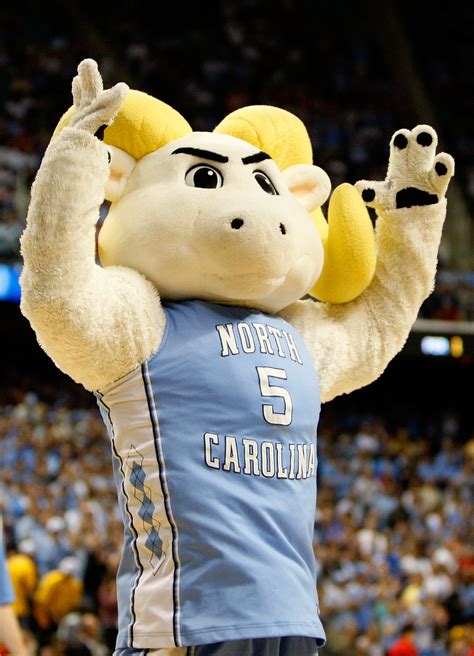 The 50 Best Mascots In College Football News Scores Highlights