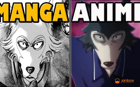 Manga Vs Anime What Is The Difference You Should Know