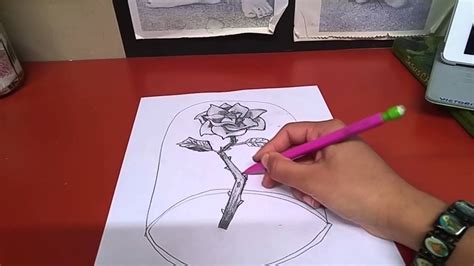 Rose From Beauty And The Beast Drawing at GetDrawings | Free download