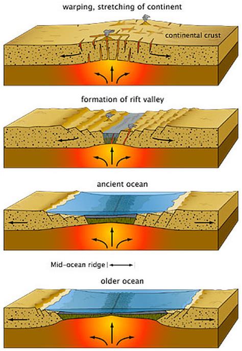 Solved New Oceanic Crust Forms At Plate Boundaries Course Hero