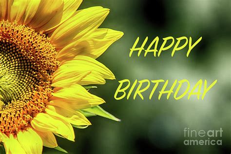 Happy Birthday Images With Sunflowers💐 — Free Happy Bday Pictures And