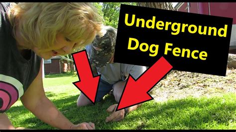 Check spelling or type a new query. How to Install An Underground Dog Fence - YouTube