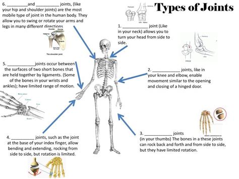 Have you ever seen fossil remains of dinosaur and ancient human bones in textbooks, television, or in person at a the movement of our bodies is possible because of both joints and muscles. PPT - Types of Joints PowerPoint Presentation - ID:2634593