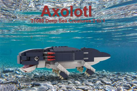 Lego Moc Axolotl 31088 2 To 1 By Janik Rebrickable Build With Lego