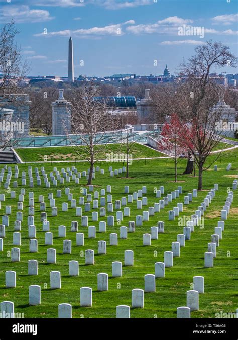 Rows Of Tombstone At Arlington National Cemetery With Wahsington In The