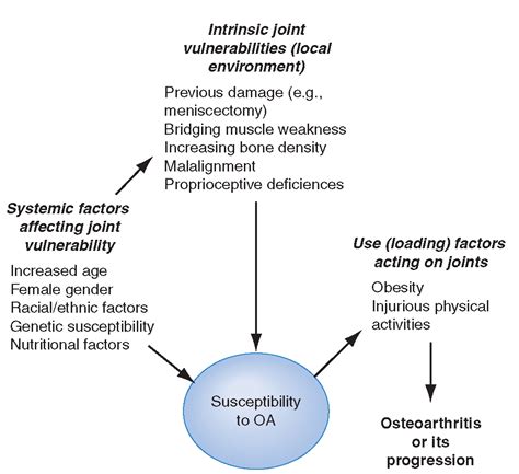 Osteoarthritis Disorders Of The Joints And Adjacent Tissues