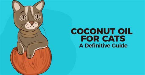 A wide variety of matted cat fur options are available to you, such as power source, material, and feature. Coconut Oil for Cats: A Definitive Guide | Honest Paws ...