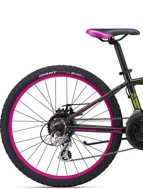 Велосипед Liv Enchant 1 24 Disc Dark Charcoal Purple Черный 80063810
