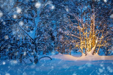 Premium Photo Snowfall And Tree With Garland Warm Lights In Night
