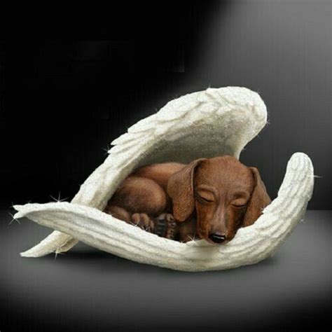 151 Best Images About Dachshund Rainbow Bridge Angels On