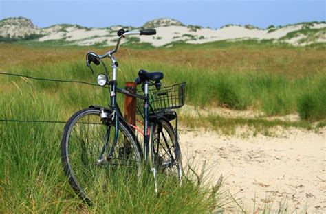 Mens Beach Cruiser Bikes Ultimate Buyers Guide