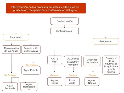 Agua Mapa Conceptual