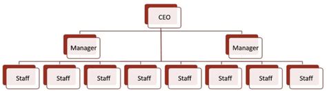 Best Org Chart Software Templates Organizational Chart
