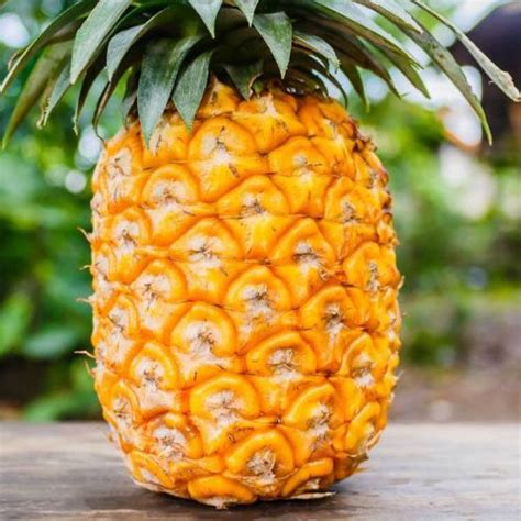 How To Ripen A Pineapple Fast 3 Easy Ways Tipbuzz