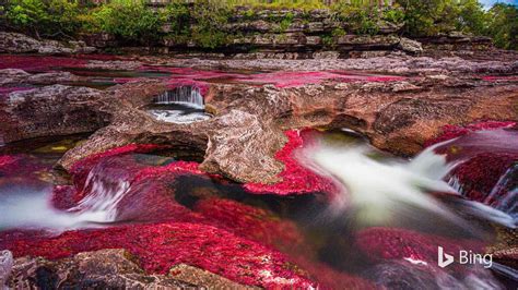 Todays Photo Brings Us To The Banks Of Caño Cristales The Liquid