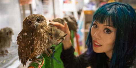 Owl Cafes In Tokyo Japan Business Insider