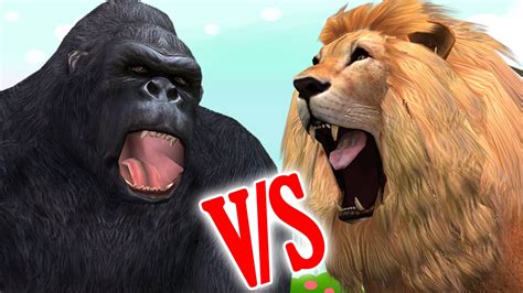 Gorilla may be stronger but the lion's got a bigger mouth for biting and claws that would rip the gorilla apart. Lion Vs Gorilla Cartoon Finger Family Children Nursery ...