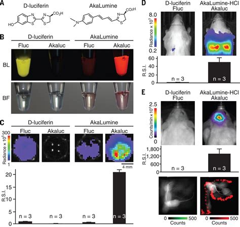 Single Cell Bioluminescence Imaging Of Deep Tissue In Freely Moving