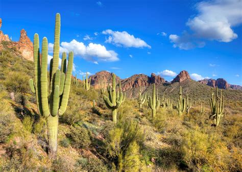Visit Tucson On A Trip To The Usa Audley Travel