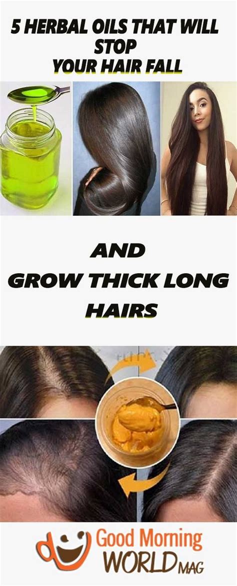 Herbal Oils That Will Stop Your Hair Fall Grow Thick Long Hair