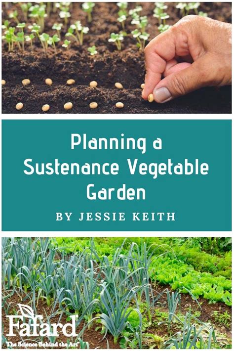 Planning A Sustenance Vegetable Garden Vegetable Garden Pole Beans