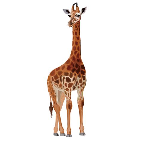 Cartoon Giraffe Png Svg Clip Art For Web Download Cli