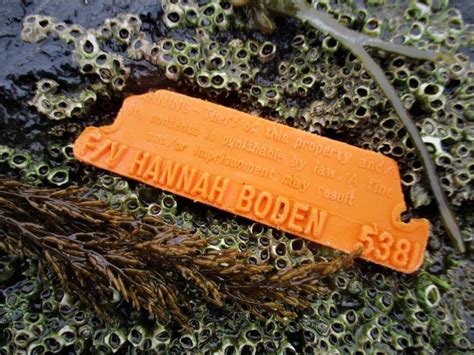 Linda Greenlaws Tag From ‘hannah Boden Found On Shores Of Ireland