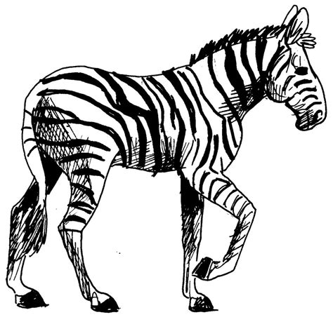 Zebra 12962 Animals Printable Coloring Pages