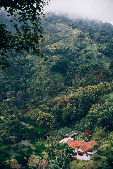 A Rustic Chic Tourist Town In The Colombian Jungle Wsj