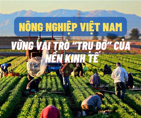 05 nhiệm vụ trọng tâm về nông nghiệp nông dân nông thôn đếm năm 2030 tầm nhìn đến năm 2045