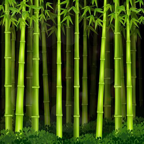 Illustration Vectorielle De Forêt De Bambous De Fond La Nuit 6794934