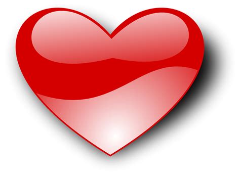 Collection Of Heart Png Hd Transparent Background Pluspng