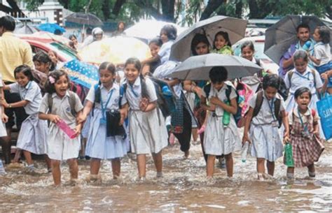 Heavy Rain In Odisha Khurda Dist Admin Orders Closure Of Educational