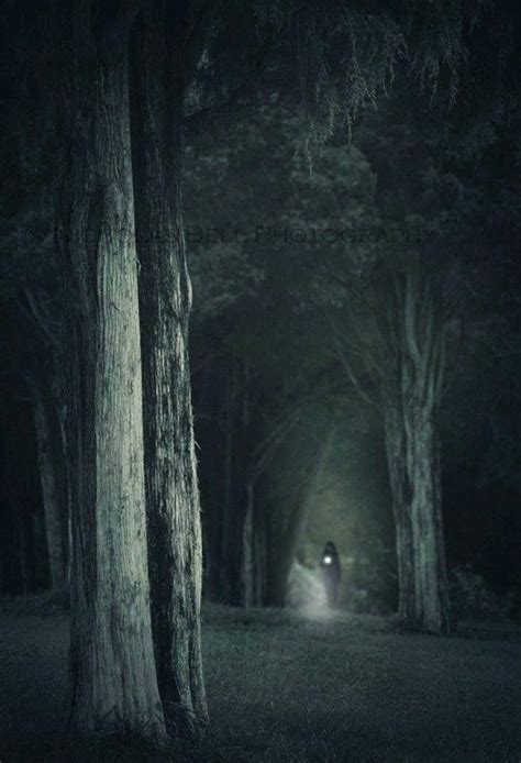 Pin By Scottmocean On Forest Flashlight Dark Places Dark Fantasy