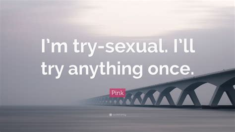 pink quote “i m try sexual i ll try anything once ”