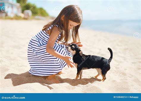 Kleines Mädchen Und Hund Auf Dem Strand Am Sonnigen Sommertag Stockfoto Bild Von Spielen Kind
