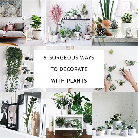 9 Gorgeous Ways To Decorate With Plants Melyssa Griffin